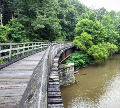 A wooden bridge curves over a river, surrounded by lush green trees and foliage.