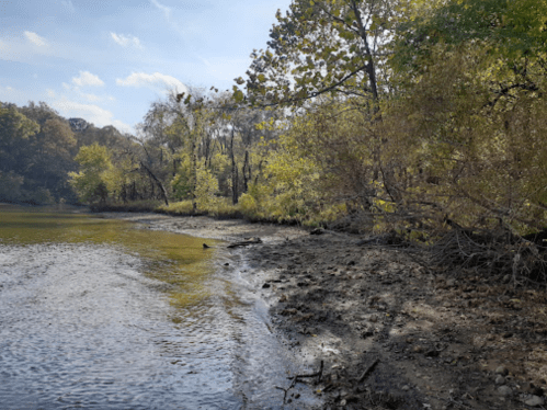 A serene riverbank scene with trees and foliage reflecting autumn colors under a clear blue sky.