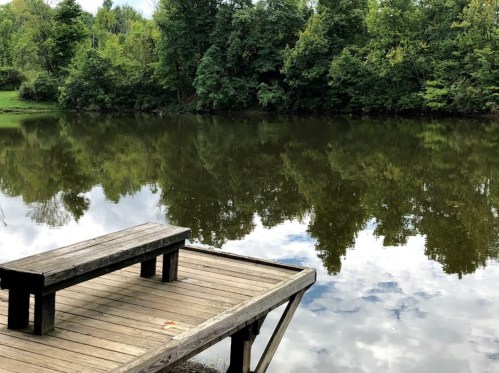 A wooden dock extends over a calm pond, surrounded by lush green trees and reflecting clouds in the water.