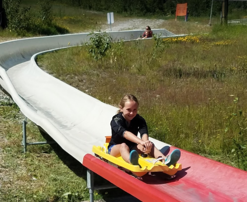 A child joyfully rides a yellow sled down a slide in a grassy area, with another person in the background.