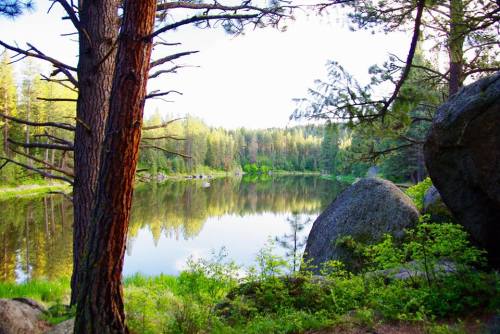 A serene lake surrounded by trees and boulders, reflecting the greenery and blue sky in calm waters.