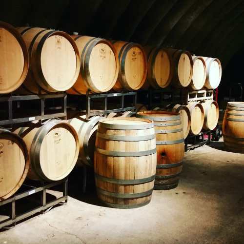 A dimly lit wine cellar with wooden barrels stacked on metal racks.