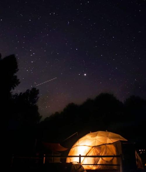 A glowing tent under a starry night sky, with trees silhouetted against the cosmos.