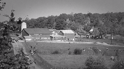 A black-and-white image of a farm with a barn, silo, and grazing cows surrounded by trees and fields.