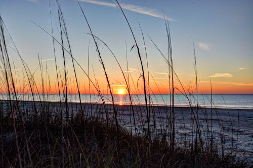 Sunset over a calm beach, with tall grass in the foreground and vibrant orange and blue hues in the sky.