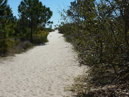 A sandy path winding through greenery under a clear blue sky.