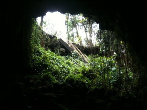 View from inside a cave, showing lush greenery and stairs leading up to the cave opening.