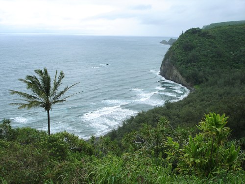 A scenic coastal view featuring waves, lush greenery, and a palm tree against a cloudy sky.