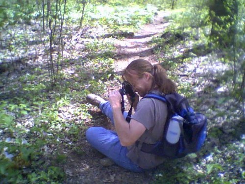 A person sitting on a trail in the woods, taking a photo with a camera, surrounded by greenery.