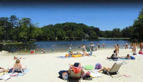 A sunny beach scene with people sunbathing, swimming, and enjoying a lake surrounded by trees.