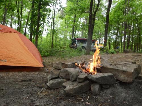 A campsite with an orange tent, a fire pit with flames, and a vehicle parked nearby, surrounded by lush green trees.
