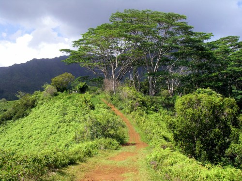 A winding dirt path leads through lush green hills and trees under a partly cloudy sky.