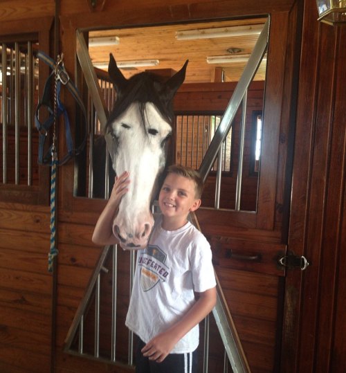 A young boy smiles while petting a horse in a stable, with wooden walls and metal bars in the background.