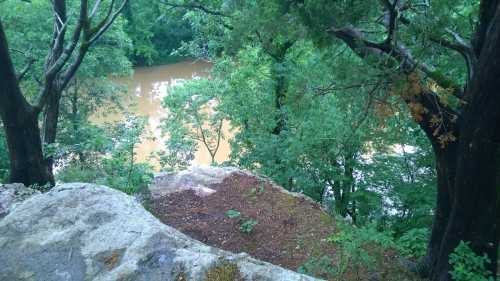 A rocky ledge overlooking a muddy river surrounded by lush green trees.