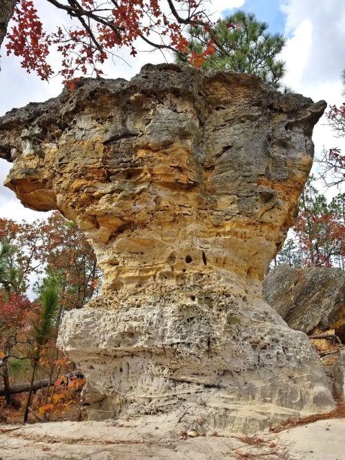 A large, weathered rock formation stands amidst trees with autumn leaves, showcasing unique textures and colors.