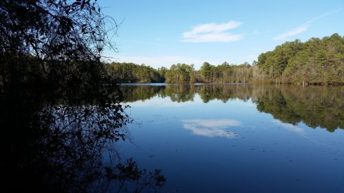A serene lake surrounded by trees, reflecting the blue sky and clouds on its calm surface.