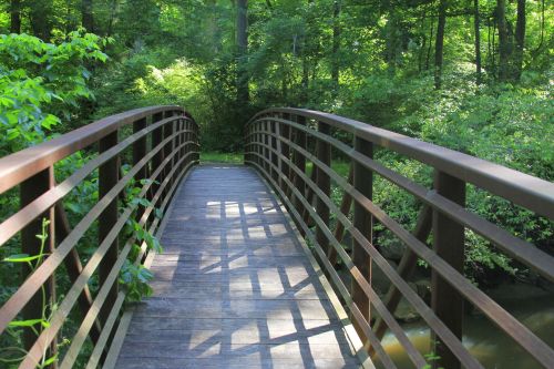 A wooden bridge arches over a serene path surrounded by lush green trees and foliage.