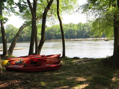Colorful kayaks rest on the shore beside a calm river, surrounded by lush green trees and a sunny sky.