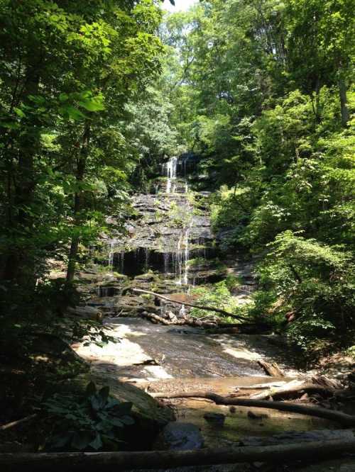 A serene waterfall cascading down rocky cliffs, surrounded by lush green trees and foliage.