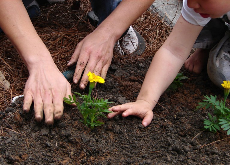 Earth-Friendly Revelry in Godfrey
