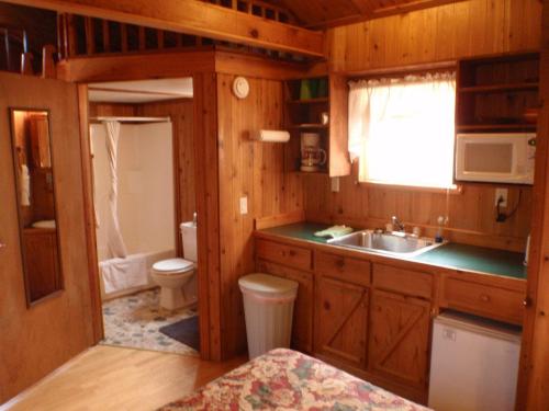 Cozy cabin interior featuring a kitchenette, bathroom, and living area with wooden walls and rustic decor.