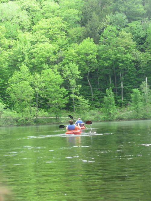 Two people kayaking on a calm lake surrounded by lush green trees.