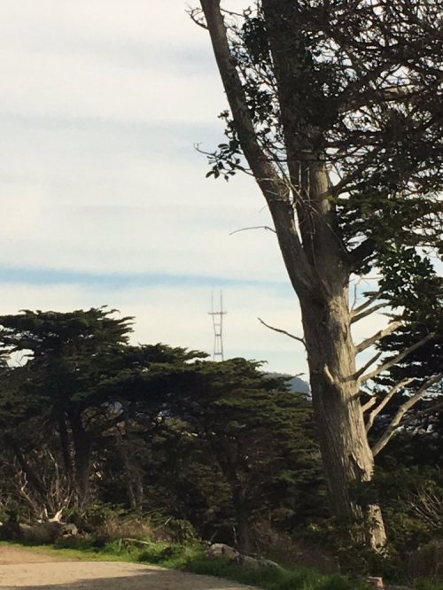 A view of a tall structure peeking through trees, set against a cloudy sky.