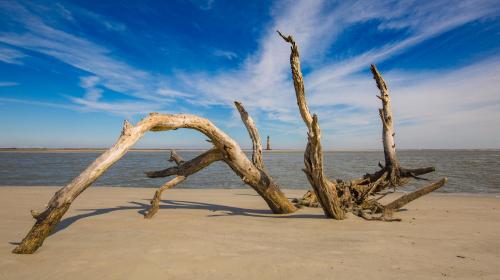 A weathered driftwood sculpture on a sandy beach, with a calm water backdrop and a blue sky with wispy clouds.
