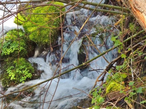 A serene stream flows over moss-covered rocks, surrounded by branches and greenery.