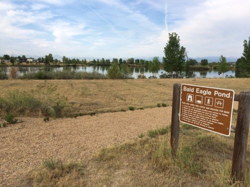A sign for Bald Eagle Pond near a grassy area and calm water, with trees and a blue sky in the background.