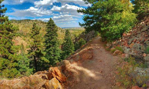 A scenic hiking trail winds through rocky terrain and tall pine trees, with a view of distant hills under a blue sky.