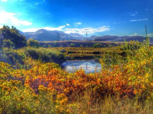A vibrant landscape featuring a serene pond, lush greenery, and distant mountains under a bright blue sky.