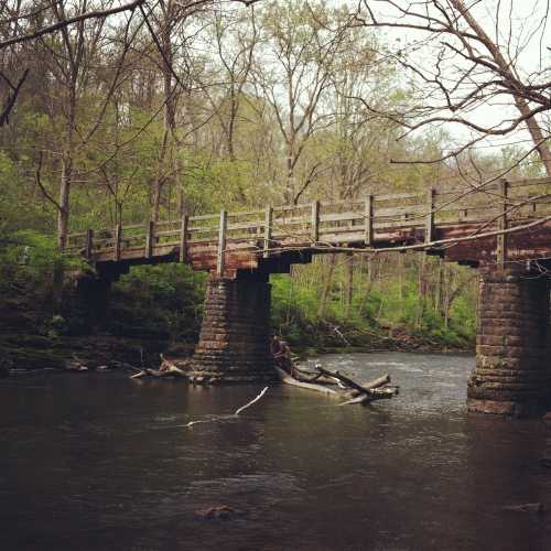 A rustic wooden bridge spans a calm river, surrounded by lush green trees and a serene natural landscape.