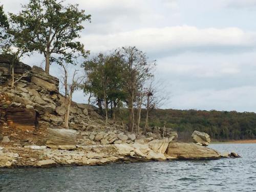 A rocky shoreline with sparse trees and calm water under a cloudy sky.