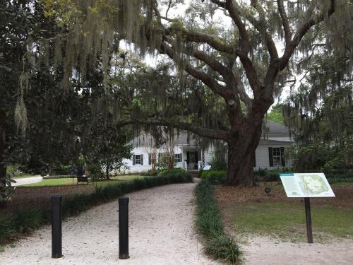 A large, moss-covered tree stands over a sandy path leading to a white house, with informational signs nearby.