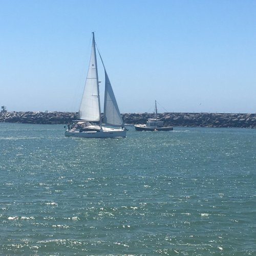 A sailboat glides through calm waters near a rocky jetty on a sunny day.