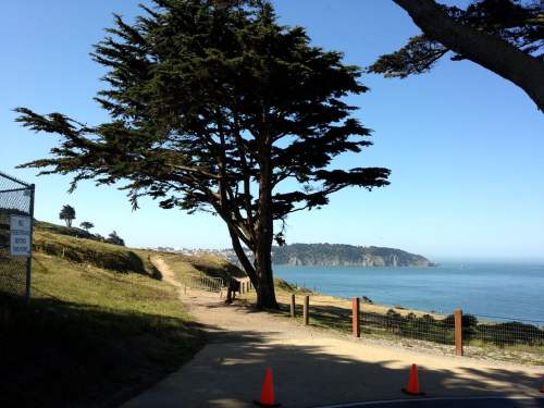 A scenic coastal view with a large tree, a path leading to the water, and a distant shoreline under a clear blue sky.