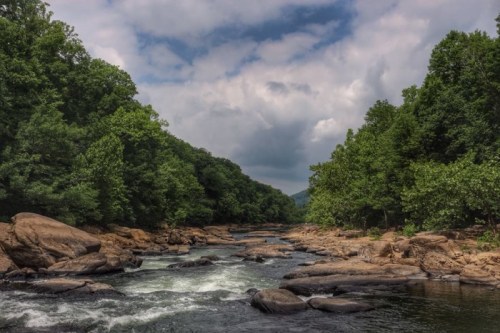 A serene river flows through lush green trees under a cloudy sky, with rocky banks and gentle ripples in the water.