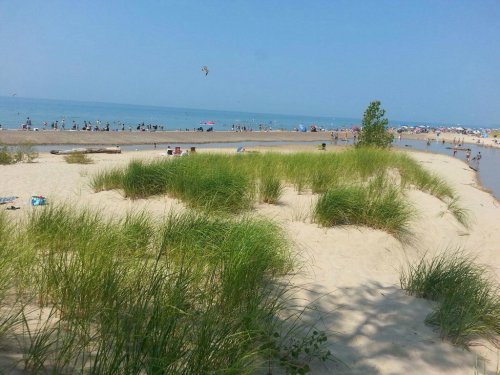 A sandy beach with green grass, people enjoying the water, and umbrellas under a clear blue sky.