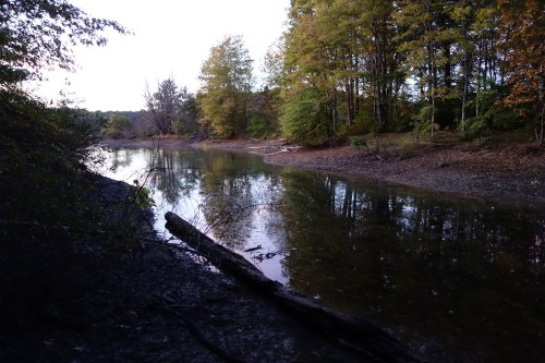 A calm river reflects trees and a sunset, with a log resting on the shore and autumn foliage in the background.