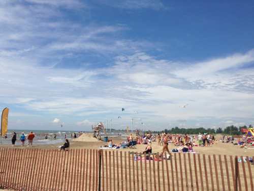 A sunny beach scene with people sunbathing, swimming, and a wooden fence in the foreground under a blue sky.