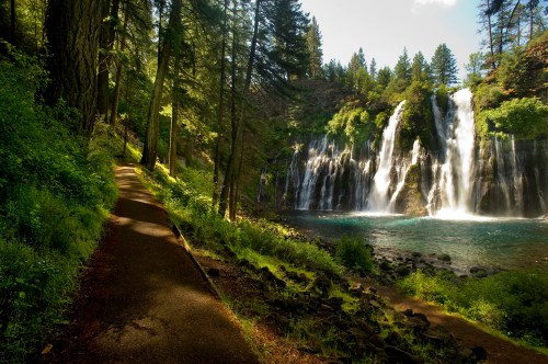 A scenic view of a waterfall surrounded by lush greenery and a winding path along the water's edge.