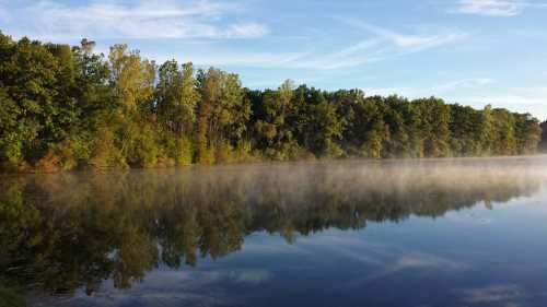 A serene lake reflecting trees and a clear sky, with morning mist hovering over the water's surface.