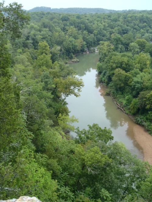 A serene river winding through lush green trees and hills, viewed from a high vantage point.