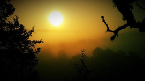 A hazy sunrise casts a golden glow over a misty landscape, with silhouetted trees in the foreground.