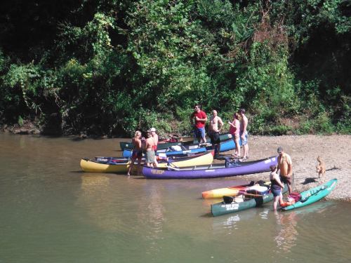 A group of people on a riverbank preparing kayaks for a day of paddling in a lush, green environment.