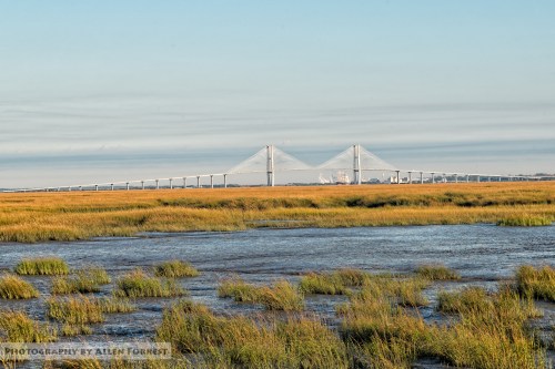 A wide view of a bridge spanning a river, surrounded by grassy wetlands under a clear sky.