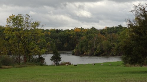 A serene lake surrounded by trees with autumn foliage, set against a cloudy sky and a grassy foreground.