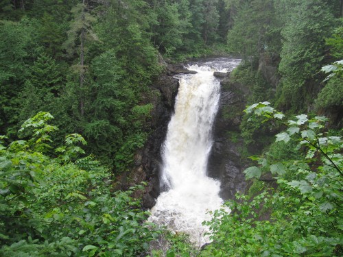 A cascading waterfall surrounded by lush green trees and foliage in a serene natural setting.