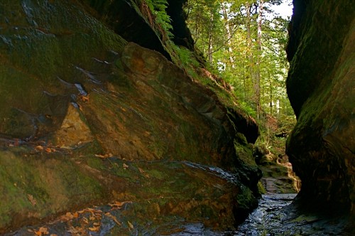 Narrow canyon with moss-covered rocks and lush greenery, illuminated by sunlight filtering through the trees above.